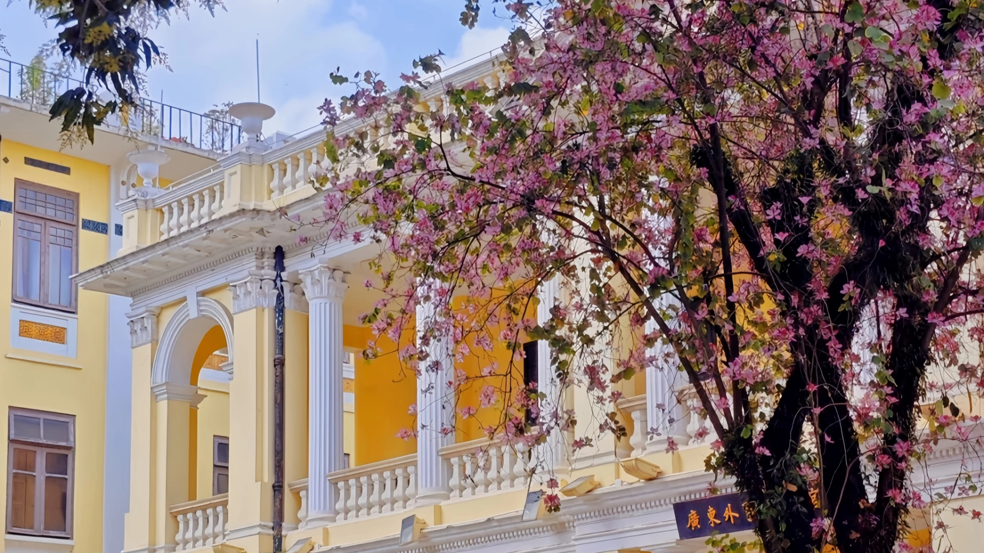 Must-see! Unveiling the Golden Season for Traveling in Guangzhou