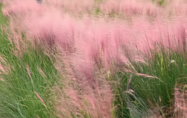 Top 10 Photography Holy Lands in Chengdu