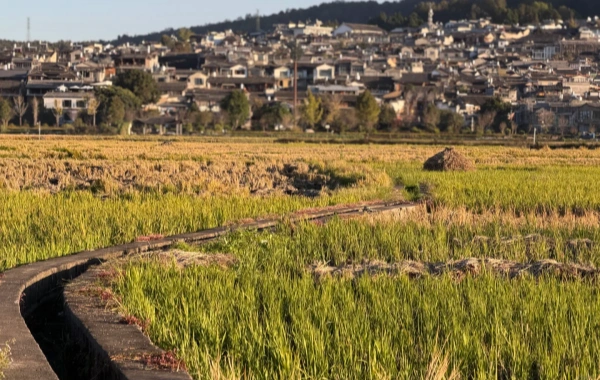 Heshun Ancient Town: Un voyage chaleureux de la Caravane des Chevaux Posthouse à la ville natale des Chinois d'outre-mer rempli de la fragrance des Livres-2