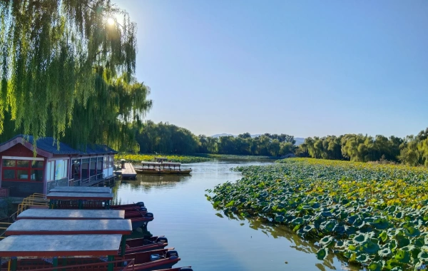 The Old Summer Palace: A garden among all gardens that bears witness to both glory and pain-3