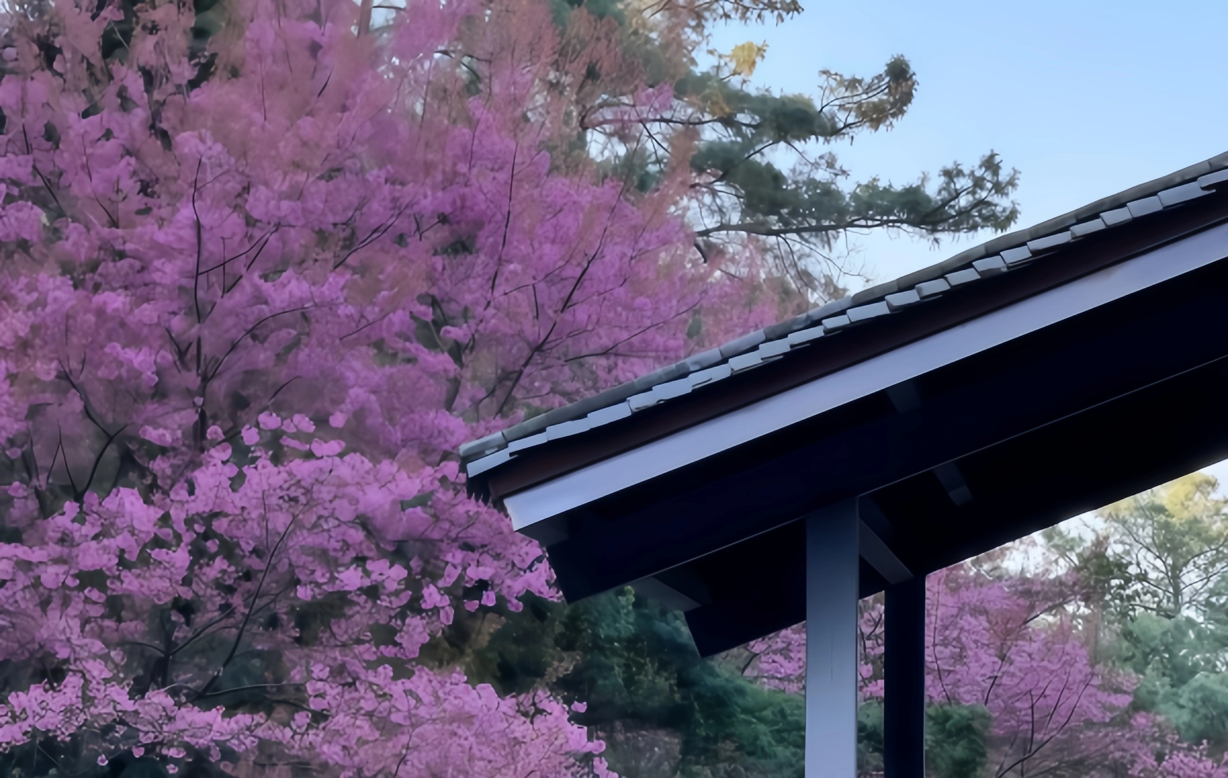 Xishan Park: A Millennium Watch from the 