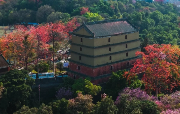 Parc Yuexiu: Une promenade millénaire de Nanyue Wangtai au coeur vert de Yangcheng-3
