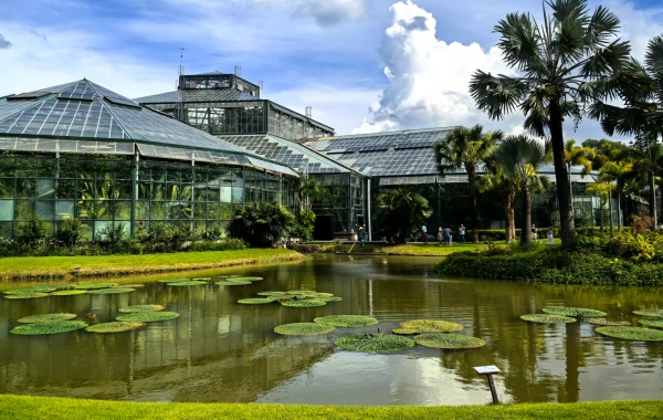 Chine du Sud Botanique Jardin: Une épopée vibrante d'évolution végétale et un voyage vers une oasis urbaine.