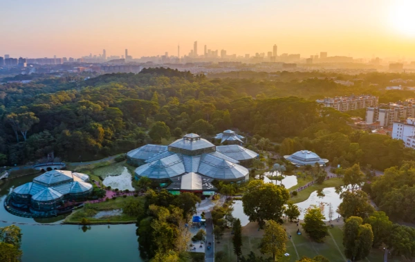 Chine du Sud Botanique Jardin: Une épopée vibrante d'évolution végétale et un voyage vers une oasis urbaine.-2