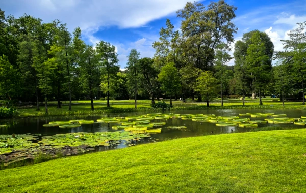 Chine du Sud Botanique Jardin: Une épopée vibrante d'évolution végétale et un voyage vers une oasis urbaine.-3