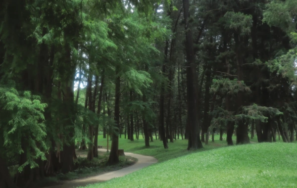 Chine du Sud Botanique Jardin: Une épopée vibrante d'évolution végétale et un voyage vers une oasis urbaine.-4