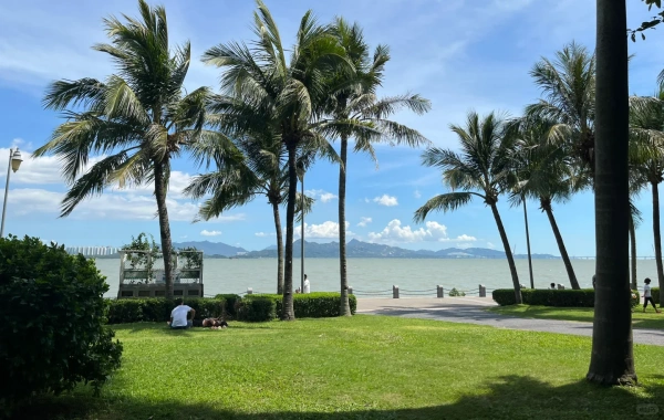 Baie de Shenzhen Parc : Une transformation des mouflons côtiers au cœur vert urbain-3