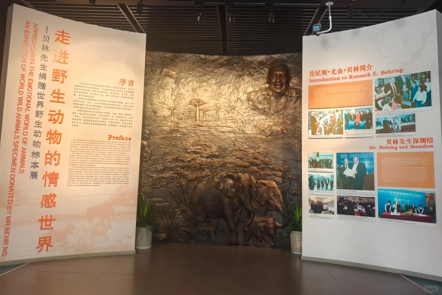 Shenzhen Museum: Eine Legendäre Erzählreise Durch das Zeitalter einer Stadt-3