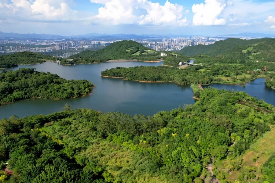 PTOM Est: Un voyage fantastique entre les montagnes et la mer-4