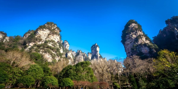 Parc forestier national de Zhangjiajie : Un conte légendaire, des secrets géologiques au patrimoine naturel mondial-2
