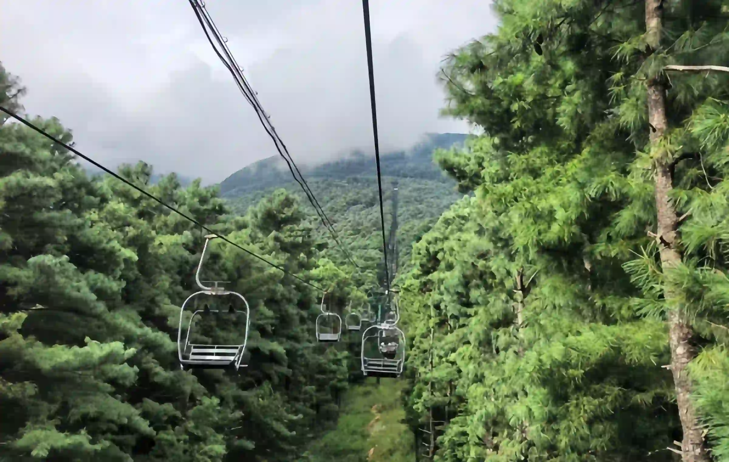 Parc de Cangshan : un épi naturel du toit du monde au vent, aux fleurs, à la neige et à la lune-3