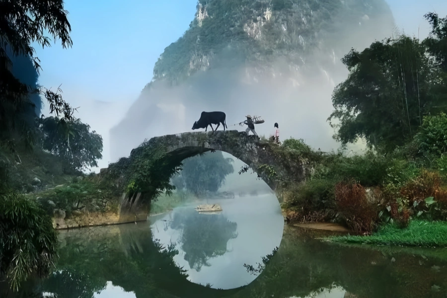 Yingxi Peak Forest : explorer le paysage pittoresque de Lingnan-4