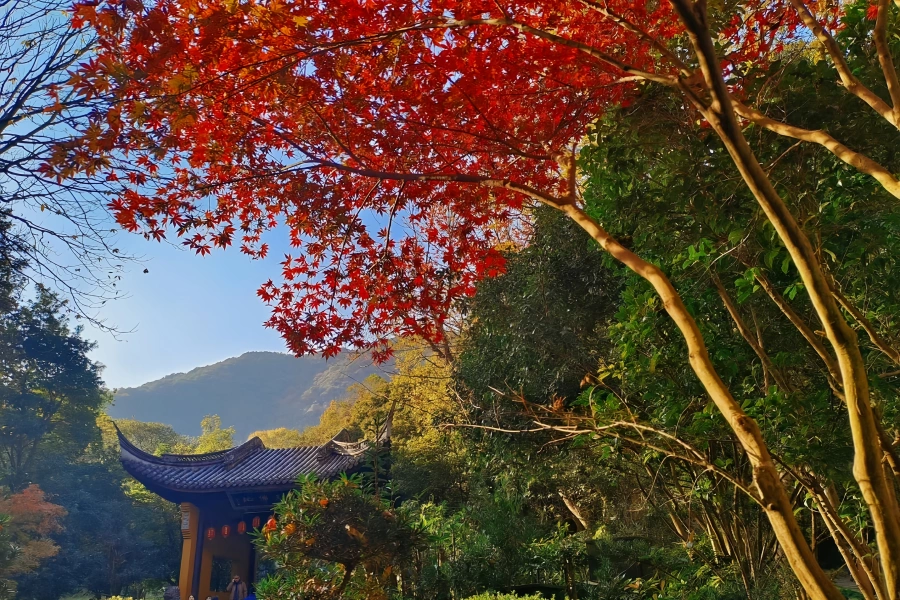 Temple de Lingyin: Pèlerinage de l'endroit où le pic de la Vulture s'envole vers le temple ancestral d'un bouddhisme Zen millénaire-4