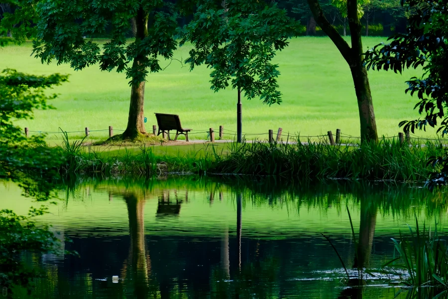 Prince Bay Parc : Un voyage de renaissance depuis le site de West Lake Silt jusqu'au pic Springtime