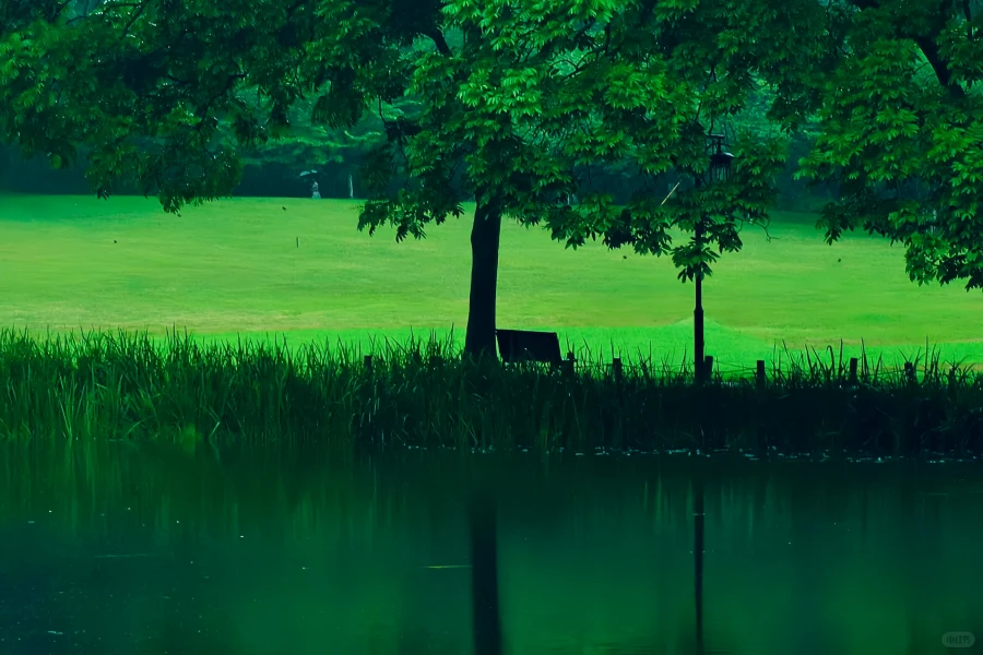 Prince Bay Parc : Un voyage de renaissance depuis le site de West Lake Silt jusqu'au pic Springtime-3