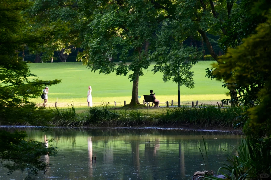 Prince Bay Parc : Un voyage de renaissance depuis le site de West Lake Silt jusqu'au pic Springtime-4