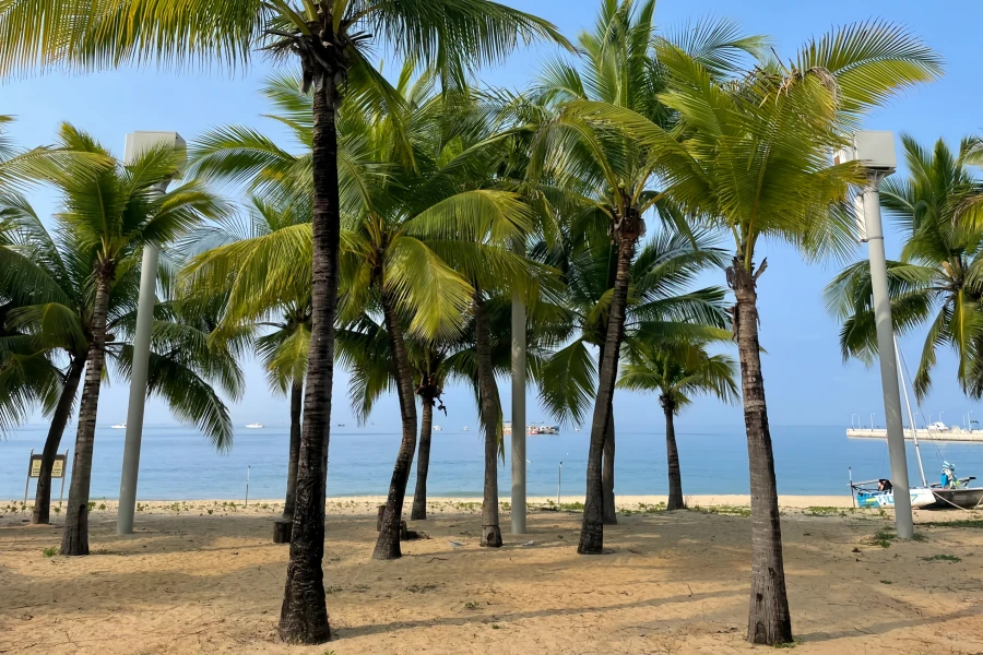 Tianya Haijiao: Eine romantische Reise zum südlichsten Punkt des Festlands China-2