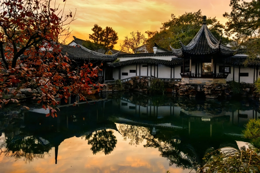 Maître du Jardin des Nets : Un vaste monde niché dans une petite forêt de montagne-2