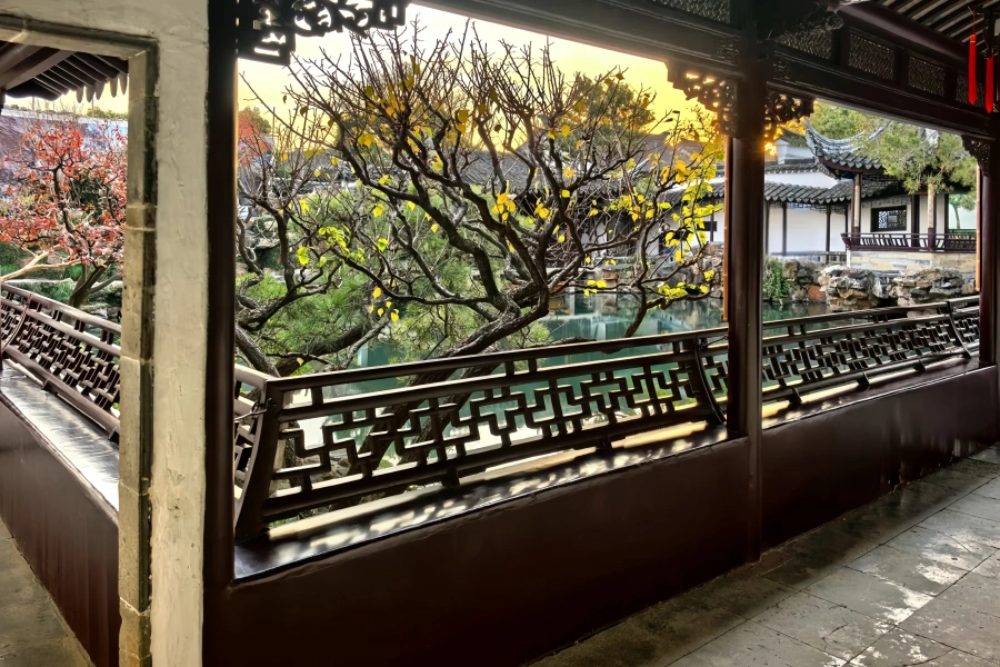 Maître du Jardin des Nets : Un vaste monde niché dans une petite forêt de montagne-4