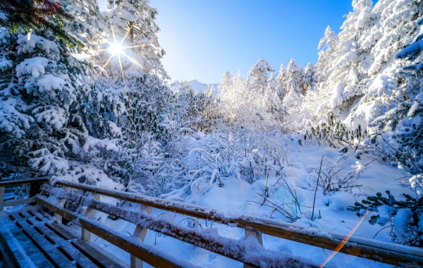 Glacier Hailuogou : une ère glaciaire à portée de main et un royaume secret des sources thermales de neige-4