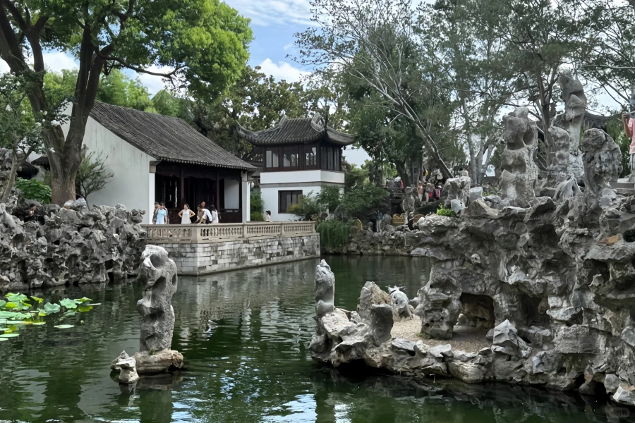 Lion Grove Garden: Une Maze de Climbable des Rocheuses artificielles-3