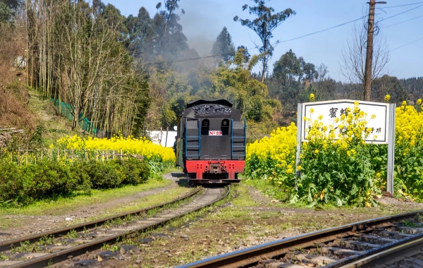 Petit train Jiayang : un fossile vivant de la révolution industrielle passant par la mer fleurie-2