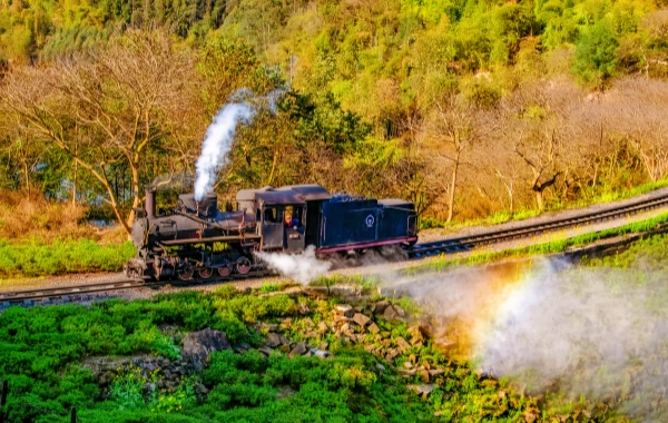 Petit train Jiayang : un fossile vivant de la révolution industrielle passant par la mer fleurie-3