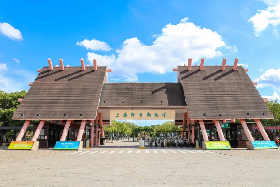 Shanghai Wild Animal Park: Eine Explorationsreise von Urban Oasis nach Natural Kingdom-2