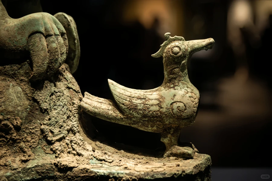 Musée de Shanghai : un voyage de civilisation du Trésor historique au Palais de l'Art-3