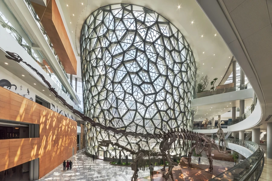 Musée d'histoire naturelle de Shanghai : Voyage à travers le temps et l'espace de l'exploration de la nature à l'épique de la vie-3