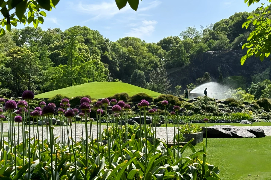 Chenshan botanique Jardin : Un voyage de renaissance verte de la mine abandonnée au sanctuaire écologique