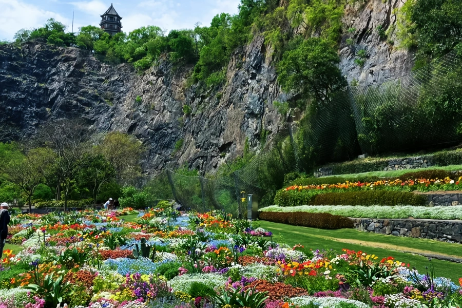Chenshan botanique Jardin : Un voyage de renaissance verte de la mine abandonnée au sanctuaire écologique-2