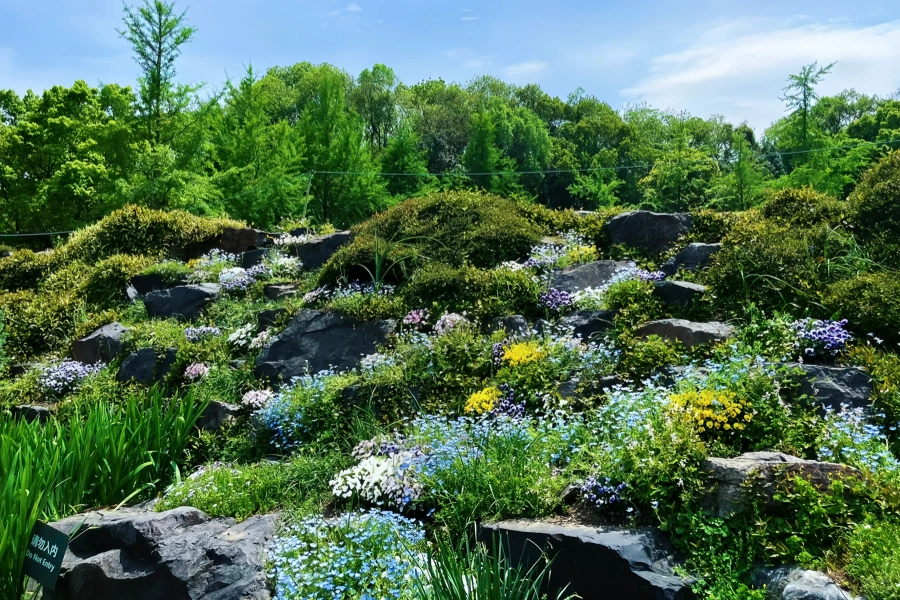 Chenshan botanique Jardin : Un voyage de renaissance verte de la mine abandonnée au sanctuaire écologique-3