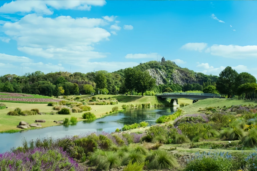 Chenshan botanique Jardin : Un voyage de renaissance verte de la mine abandonnée au sanctuaire écologique-4