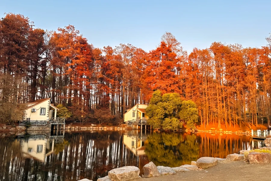 Parc forestier national de Gongqing : Symphonie naturelle de la petite enfance au cœur vert urbain