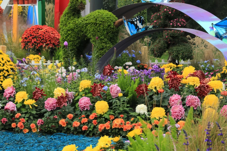 Parc forestier national de Gongqing : Symphonie naturelle de la petite enfance au cœur vert urbain-2