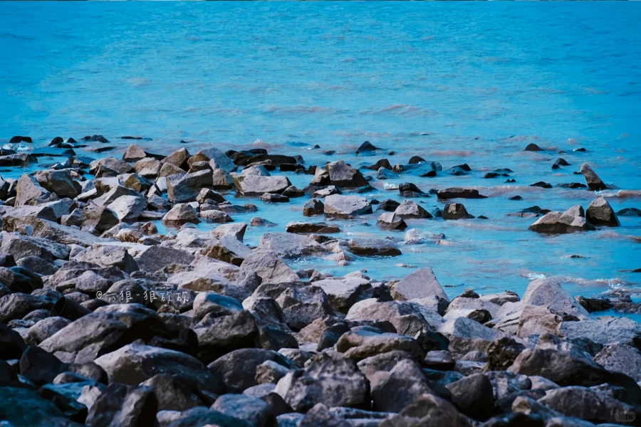 Paotaiwan Wetland Forest Park : 강 방어 포트에서 어번 그린 렁까지 생존-2