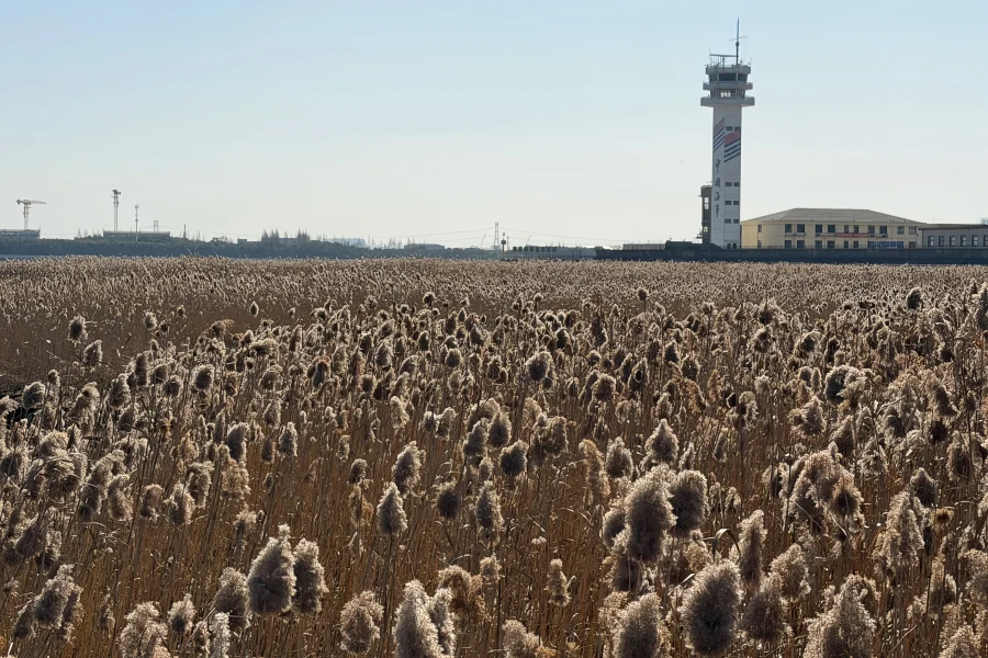 Paotaiwan Wetland Forest Park : 강 방어 포트에서 어번 그린 렁까지 생존-3