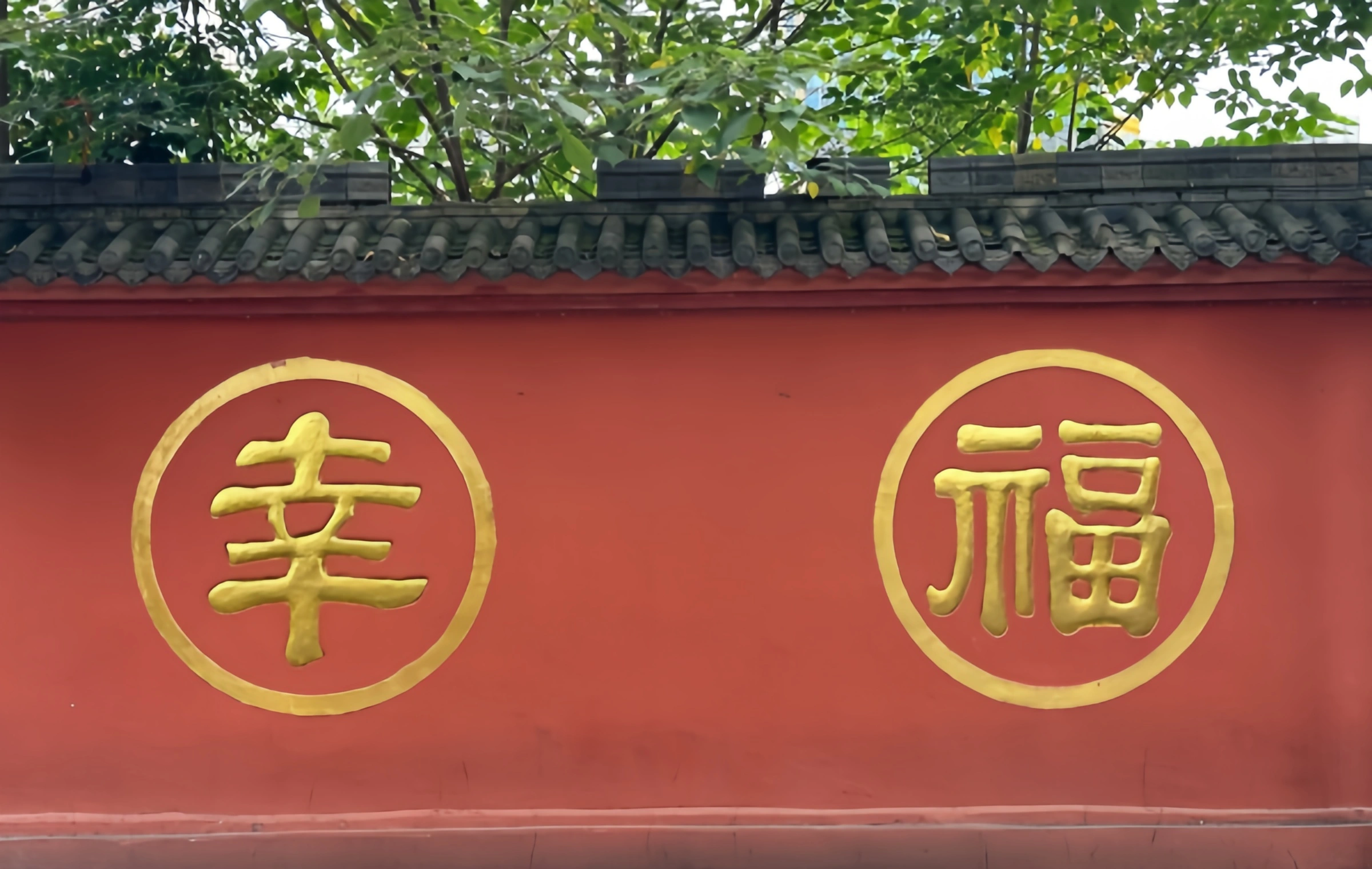 Monastère Wenshu: Un voyage tranquille à travers la forêt zen animée et le vieux temple du millénaire-3
