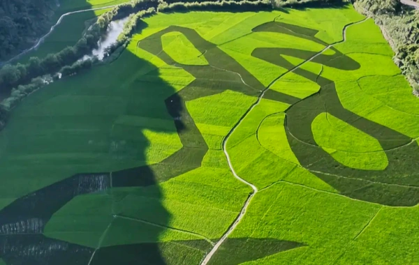 Palais du Dragon : Voyage au musée souterrain du Karst et au légendaire Palais du Dragon sous le ciel-3