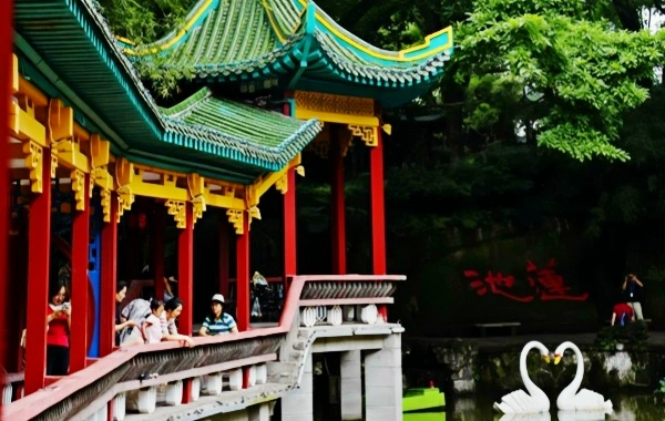 Le parc Eling : un voyage à travers un jardin centenaire et des vues panoramiques de deux rivières depuis le sommet de la péninsule de Chongqing-2