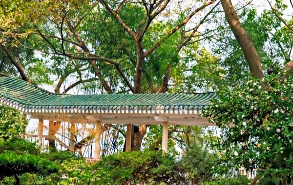 Le parc Eling : un voyage à travers un jardin centenaire et des vues panoramiques de deux rivières depuis le sommet de la péninsule de Chongqing-3
