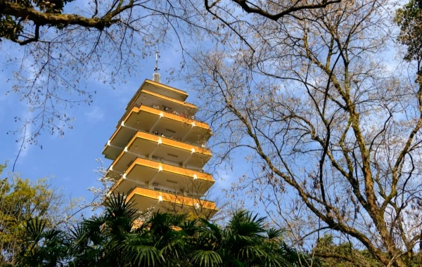 Le parc Eling : un voyage à travers un jardin centenaire et des vues panoramiques de deux rivières depuis le sommet de la péninsule de Chongqing-4