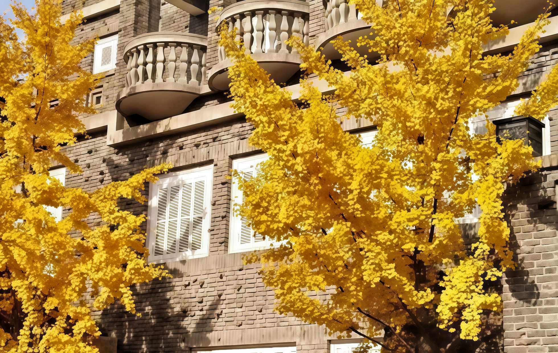 Les cinq grandes avenues (Wudadao): Un siècle d'histoire au milieu d'une «Expo architecturale mondiale»-3