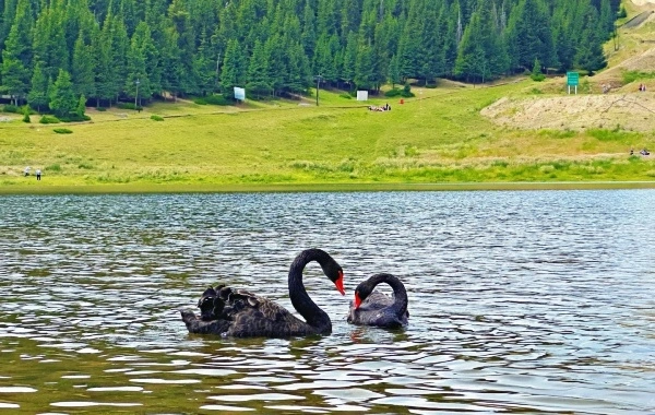 Tianshan Grand Canyon: Un sanctuaire pastoral et un musée naturel au pied des montagnes Tianshan-3