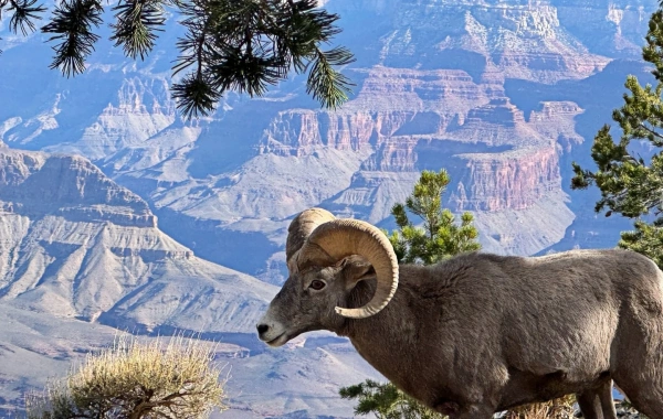 Tianshan Grand Canyon: Un sanctuaire pastoral et un musée naturel au pied des montagnes Tianshan-4