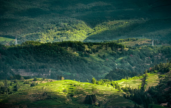 La montagne de Wuyi : un joyau caché de la culture du thé, un site du patrimoine mondial au milieu des eaux émeraudes et des pics de Crimson-3