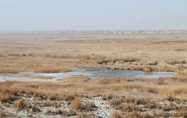 Le col de Yumenguan : un voyage à travers deux mille ans de poésie et de vigilance-2