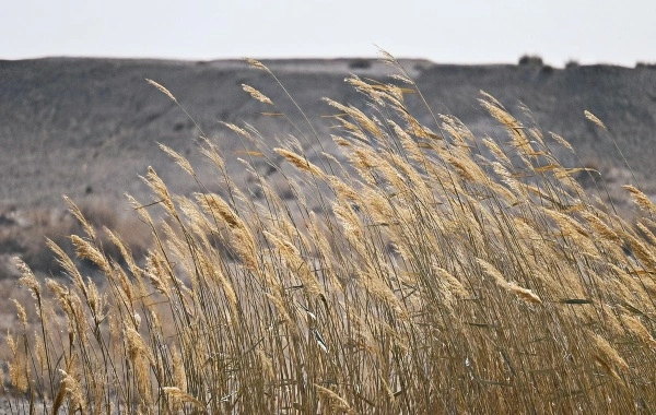 Le col de Yumenguan : un voyage à travers deux mille ans de poésie et de vigilance-4
