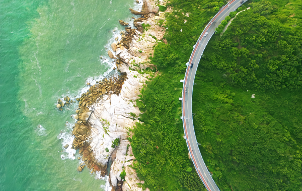 L'île de Dongshan : une légende écologique d'une île de sable barrique à une « Oasis de la mer de Chine orientale »-4